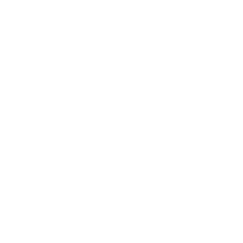 logo-bovespa.png